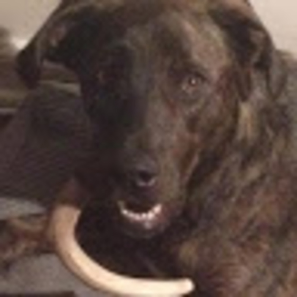 Meet your Posher, Mallory